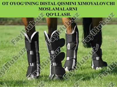 otoyog‘ining distal qismini ximoyalovchim oslamalarni qo‘llash — PPTX