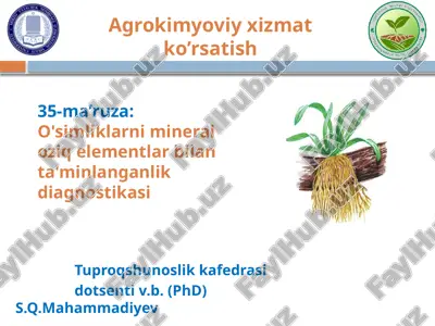 o'simliklarni mineraloziq elementlar bilan ta'minlanganlik diagnostikasi — PPTX