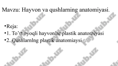 hayvonvaqushlarninganatomiyasi — PPTX
