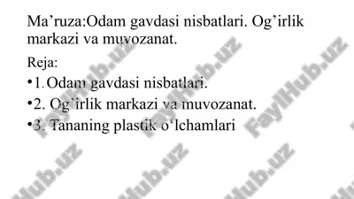 odam gavdasi nisbatlari — PPTX