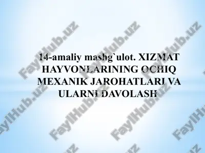 xizmat hayvonlarining ochiq mexanik jarohatlari va ularni davolash — PPTX