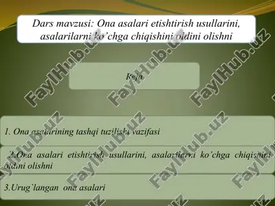 ona asalari etishtirish usullari — PPTX