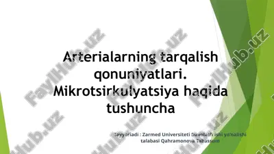 arteriyalar anatomiyasi va fiziologiyasi — PPTX