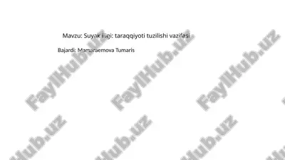 suyakiligi:taraqqiyotituzilishivazifasi — PPTX