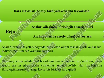 asosiy tarbiya lo'chioilat tayyorlash — PPTX