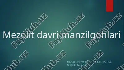 mezolit davri manzilgohlari — PPTX