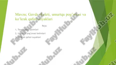 gavdas skeleti, umurtqa po'qonasi va ko'krak qafasi suyaklari — PPTX