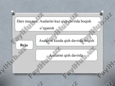 asalarini qishloq xo'jaligi — PPTX