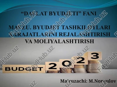 "davlat byudjeti" fanimavzu — PPTX