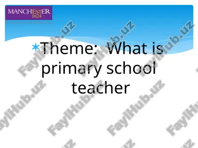 primary school teacher — PPTX