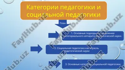 kategorii pedagogiki i sotsialnoy pedagogiki — PPTX