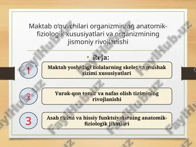 maktab o‘quvchilari organizmining anatomik-fiziologik xususiyatlari va organizmining jismoniy rivojlanishi — PPTX