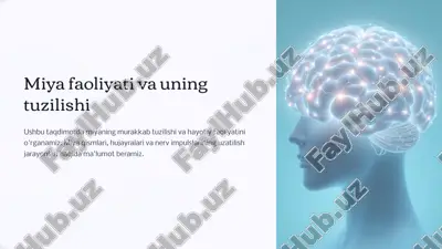 miya faoliyati va uning tuzilishi — PPTX