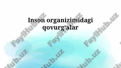 qovurg'alarning tuzilishi — PPTX