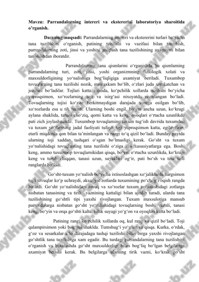 tuxumbop tovuqlar — DOCX