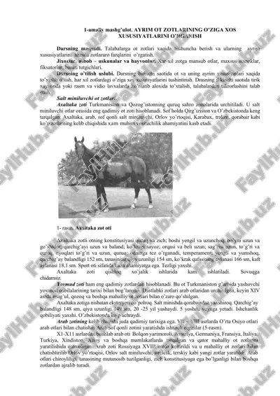 axaltaka zot oti — DOCX
