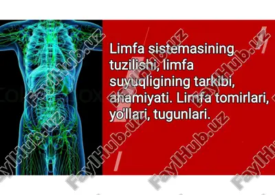 limfa sistemasining tuzilishi. limfa suyuqligining tarkibi va ahamiyati. limfa yo'llari, tomirlari va tugunlari. — PDF