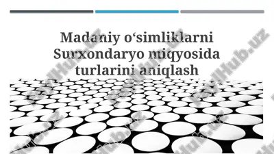 surxondaryo viloyatida o'simlik turlarini aniqlash — PPTX