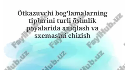 o'tkazuvchi to'plamlarning turlarini aniqlash — PPTX