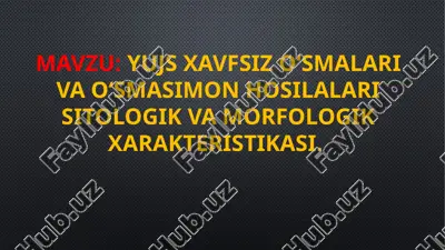 yujs xavfsiz o‘smalari — PPTX