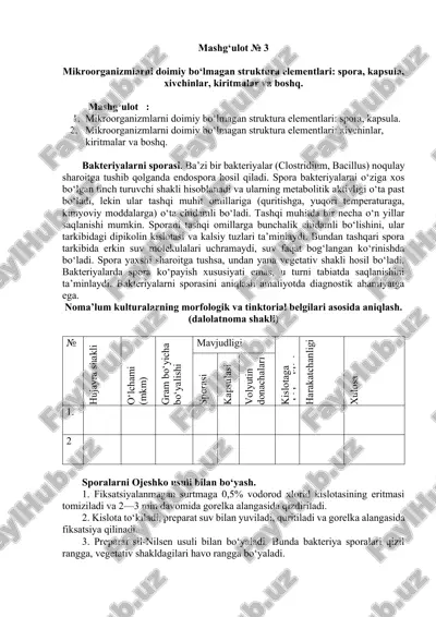 mikroorganizmlarni doimiy bo‘lmagan struktura elementlari — DOCX