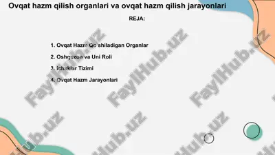 ovqat hazm qo‘shiladigan organlar — PPTX