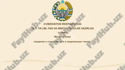 tishning tuzilishi — PPTX