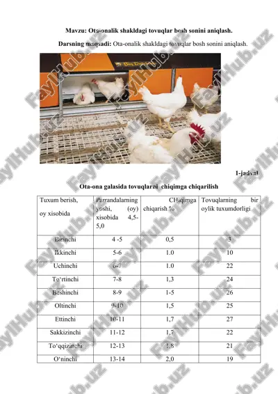 ota-onalik shakldagi tovuqlar bosh sonini aniqlash — DOCX
