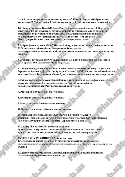 siydik azolari tizimi — DOCX
