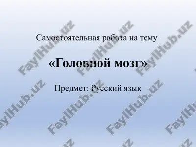 golovnoy mozg — PPTX