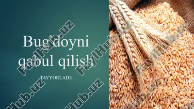 bug'doyni qabul qilish — PPTX