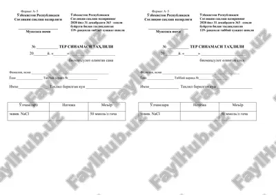 ter sinamasi tahlili — DOCX