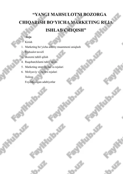 yangi mahsulotni bozorga chiqarish bo‘yicha marketing reja ishlab chiqish — DOCX