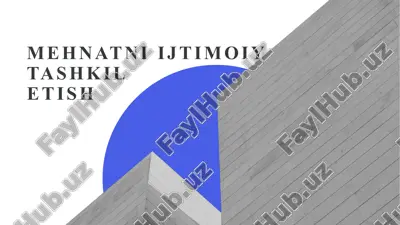 mehnatni ijtimoiy tashkil etish — PPTX