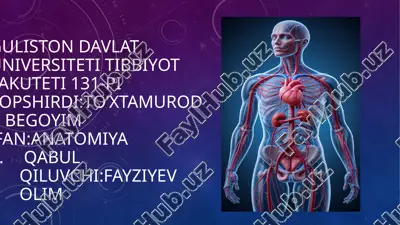 chanoq va oyoq suyaklarining yoshga nisbatan xususiyatlari. sport va mexnat faoliyatini chanoq va oyoq suyaklariga ta'siri rivojlanish nuqsonlari — PPTX