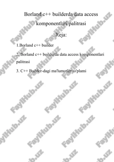 c++ builder-dagi ma'lumotlar to'plami — DOCX