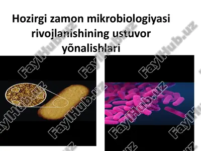 hozirgizamonmikrobiologiyasirivojlanishiningustuvor yõnalishlari — PPTX