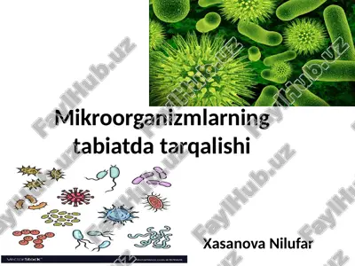 mikroorganizmlarning tabiat datarqalishi — PPTX