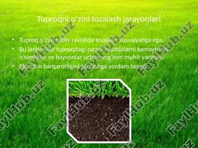 tuproqni o‘zini tozalash jarayonlari — PPTX