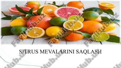 sitrusmevalarini saqlash — PPTX