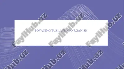 poyaning tuzilishini o'rganish — PPTX