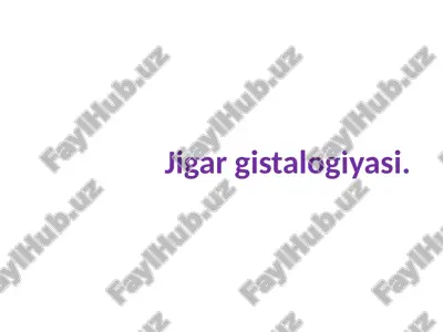 jigar gistalogiyasi — PPTX