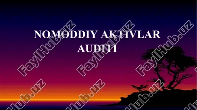 nomoddiy aktivlar auditi — PPTX