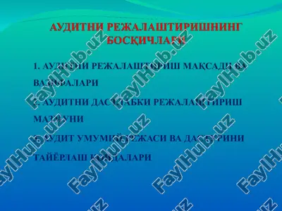 auditning rejalashtirish maqsadi va vazifalari — PPT