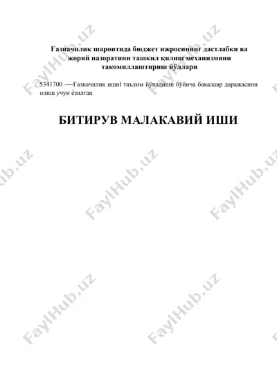 ғазначилик шароитида бюджет ижросининг дастлабки ва жорий назоратини ташкил қилиш механизмини такомиллаштириш йўллари — DOCX