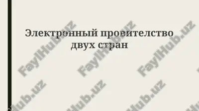 elektronniyprovitelstvodvuxstran — PPTX