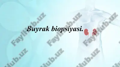 buyrak biopsiyasi — PPTX
