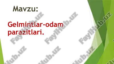 gelmintlar-odamparazitlari — PPTX