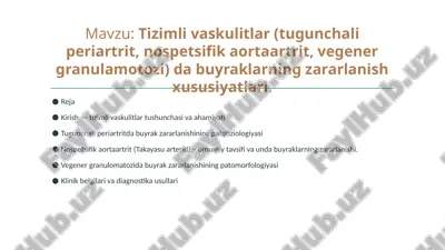 tizimli vaskulitlar (tugunchali periartrit, nospetsifik aortaartrit, vegener granulamotozi) buyraklarning zararlanish xususiyatlari — PPTX