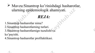 sinantrop hasharotlar — PPTX